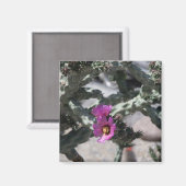 Aimant Cactus Challa en fleurs (Recto/Verso)