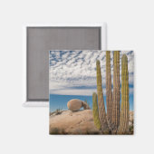 Aimant Cactus dans un paysage désertique (Recto/Verso)
