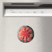 Aimant cactus de lune (In Situ (Lave-vaisselle))