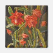 Aimant Cactus de Noël | Christian Möllback (Devant)