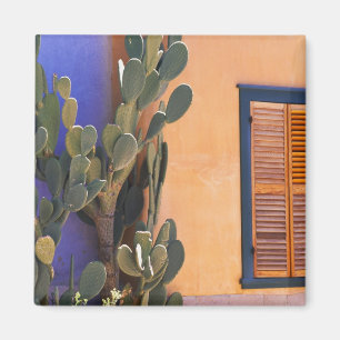 Aimant Cactus du sud-ouest (Opuntia dejecta) et