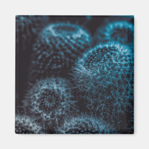 Aimant Cactus foncé