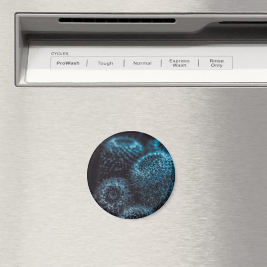 Aimant Cactus foncé (In Situ (Lave-vaisselle))