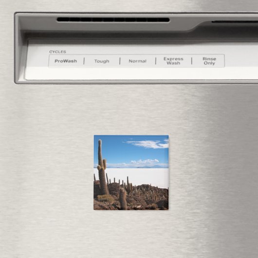 Aimant Cactus géant à l'aimant Salar de Uyuni (In Situ (Lave-vaisselle))