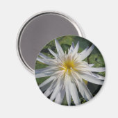 Aimant Cactus Jack (Recto/Verso)