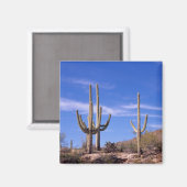 Aimant Cactus saguaro géant multi-bras, Saguaro (Recto/Verso)
