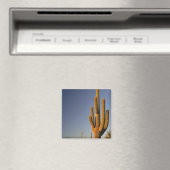 Aimant Cactus Seguaro géant, Pipe d'orgue Nat'l. (In Situ (Lave-vaisselle))