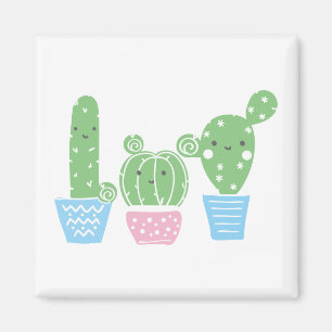 Aimant cactus, succulent, mignonette fiesta, mexicaine,