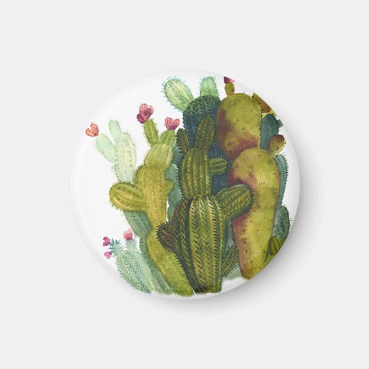Aimant Cactus, succulentes : aquarelle vintage. (Devant)