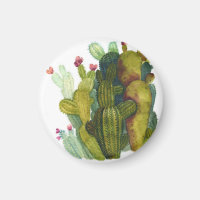 Cactus, succulents : aquarelle vintage.