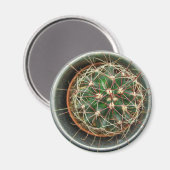 Aimant Cactus sur réfrigérateur (Recto/Verso)