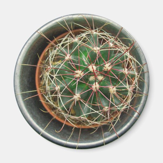 Aimant Cactus sur réfrigérateur (Devant)