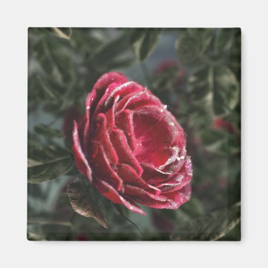 Aimant cadeau d'hiver (Devant)