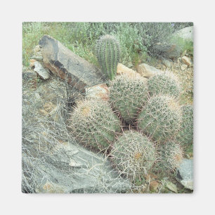 Aimant Cadeau Saguaro Swirl Cactus Réfrigérateur