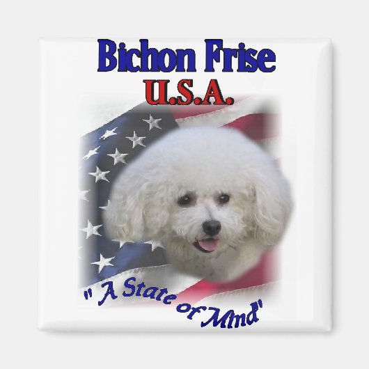 Aimant Cadeaux Bichon Frise (Devant)