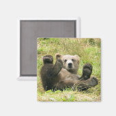 Aimant Cadeaux Brown_Ours_Kodiak_Lovers (Recto/Verso)