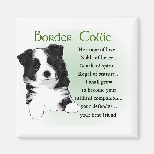 Aimant Cadeaux d'art Collie Frontière (Devant)