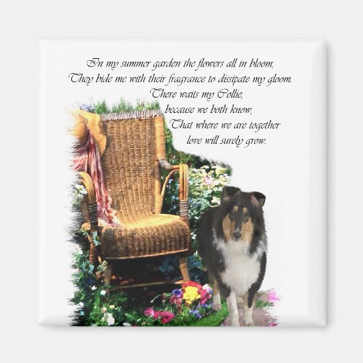 Aimant Cadeaux d'art Collie Tri-Color (Devant)