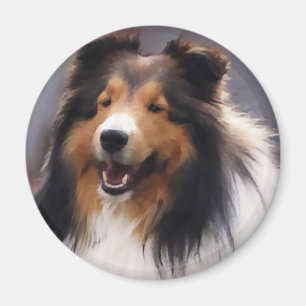 Aimant Cadeaux d'art de Sheltie de chien de berger de