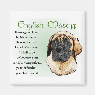 Aimant Cadeaux d'art Mastiff anglais