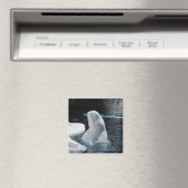 Aimant Cadeaux de baleines de Beluga (In Situ (Lave-vaisselle))