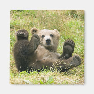 Aimant Cadeaux de Brown_Bear_Kodiak_Lovers