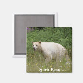 Aimant Cadeaux d'ours d'esprit (Recto/Verso)