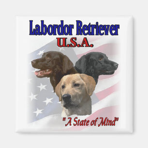 Aimant Cadeaux du Labrador Retriever