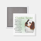 Aimant Cadeaux espagnols de plomberie (Recto/Verso)