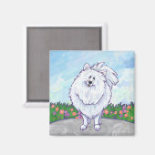 Aimant Cadeaux et accessoires Poméraniens blancs (Recto/Verso)