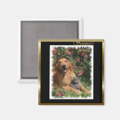 Aimant Cadeaux Golden Retriever (Recto/Verso)