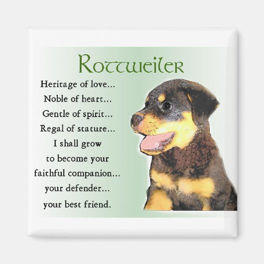 Aimant Cadeaux Rottweiler amoureux (Devant)