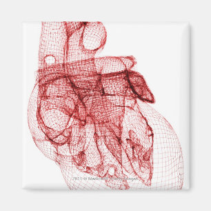 Aimant Cadre filaire numérique du coeur humain