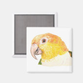 aimant caïque (Recto/Verso)