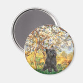 Aimant Cairn Terrier (Brindle 21) - Printemps (Recto/Verso)