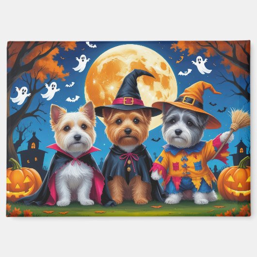 Aimant Cairn Terrier Chiens Citrouille Halloween Funny (Recto)