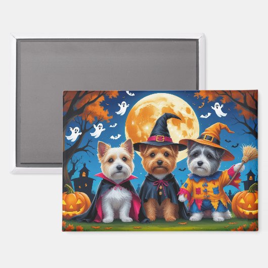 Aimant Cairn Terrier Chiens Citrouille Halloween Funny (Recto/Verso)