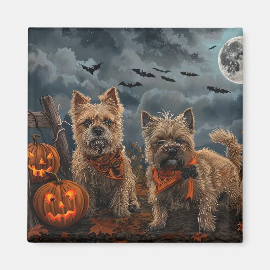 Aimant Cairn Terrier Halloween Squelettes (Devant)