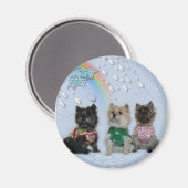 Aimant Cairn Terriers dans l'aimant de pluie (Recto/Verso)