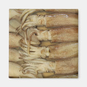 Aimant Calamari (Devant)