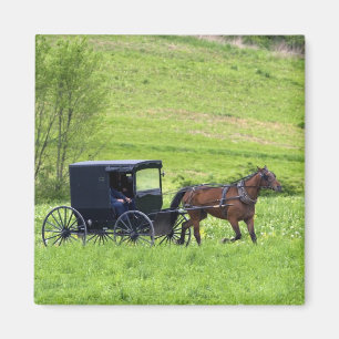 Aimant Calèche et cheval amish près de Berlin, Ohio.