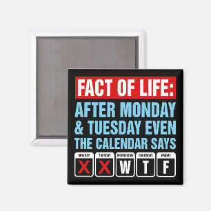 Aimant Calendrier Fact of Life dit WTF Humour