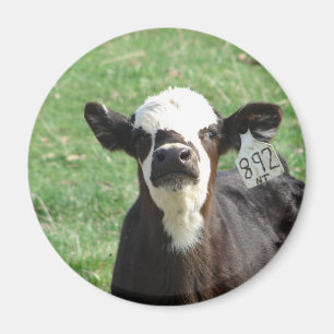 Aimant Calf de Cute