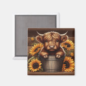 Aimant Calf de vache Highland avec tournesol dans le seau (Recto/Verso)