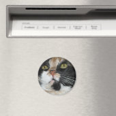 Aimant Calico Cat (In Situ (Lave-vaisselle))