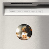 Aimant Calico Cat Sunning (In Situ (Lave-vaisselle))