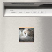 Aimant Calico endormi (In Situ (Lave-vaisselle))