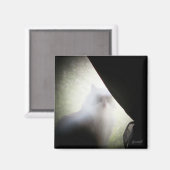 Aimant Calico Ghost Chat par djoneill (Recto/Verso)