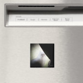 Aimant Calico Ghost Chat par djoneill (In Situ (Lave-vaisselle))