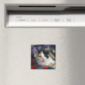 Aimant Calico Kitten, Plotting (In Situ (Lave-vaisselle))